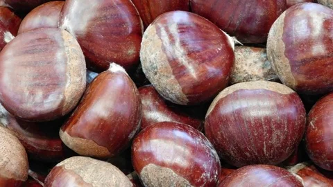 Chestnut texture in the kitchen Stock Footage 96182749