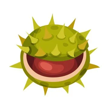 Chestnut with Thorned Shell and Brown Nut Inside Vector Illustration Stock Illustration