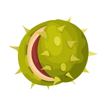 Chestnut with Thorned Shell and Brown Nut Inside Vector Illustration Stock Illustration