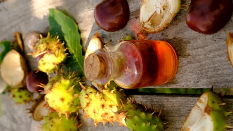 Chestnut tincture in a bottle. Selective focus. Stock Footage 256591422