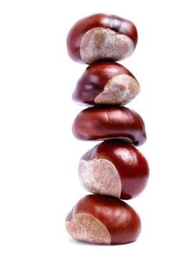 Chestnut tower Stock Photos
