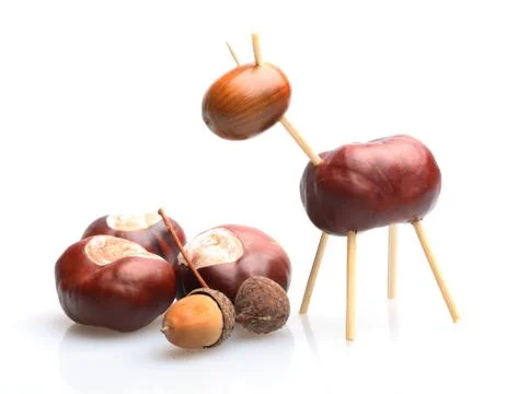 Chestnut toy Stock Photos