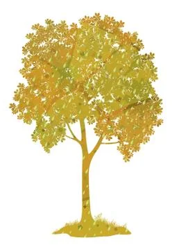 Chestnut tree with a leaves and rain drops Stock Illustration