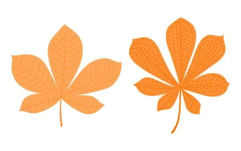Chestnut tree leaves in autumn isolated set Stock Illustration