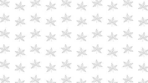 Chestnut tree leaves black thin line icons on a white background Stock Footage 159367719
