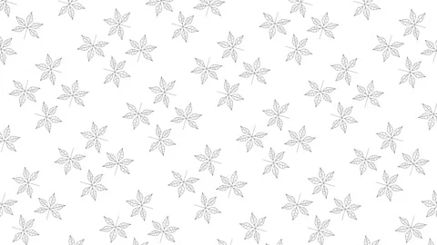 Chestnut tree leaves black thin line icons on a white background. Seamless loop  Stock Footage 161339314