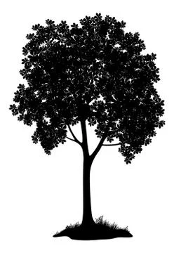 Chestnut tree, silhouette Stock Illustration