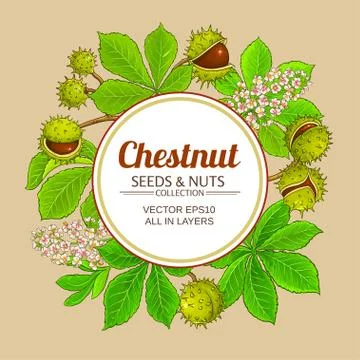 Chestnut vector frame Stock Illustration