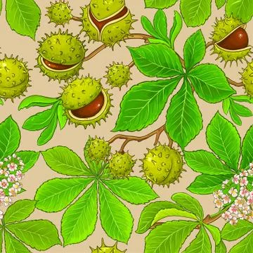Chestnut vector pattern Stock Illustration