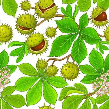 Chestnut vector pattern Stock-Illustration