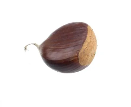 Chestnut on white background 02 Stock Photos