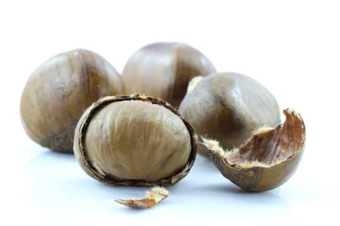 Chestnut on white background. Stock Photos