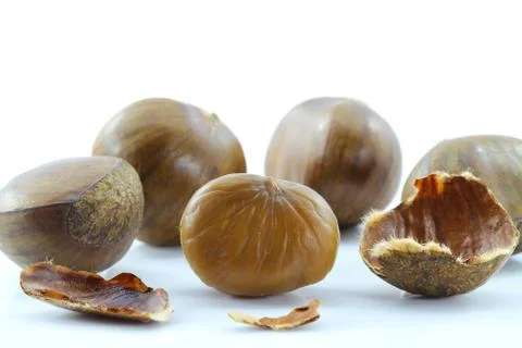 Chestnut on white background. Stock Photos