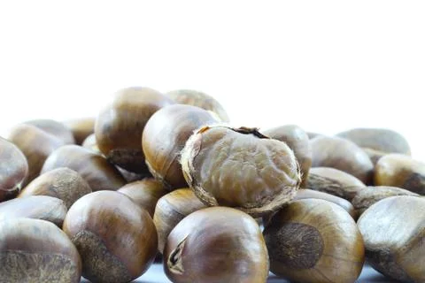 Chestnut on white background. Stock Photos