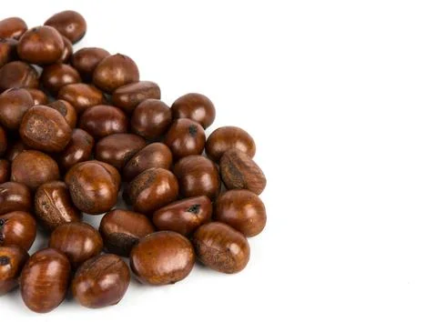 Chestnut on white background Stock Photos