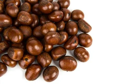 Chestnut on white background Stock Photos