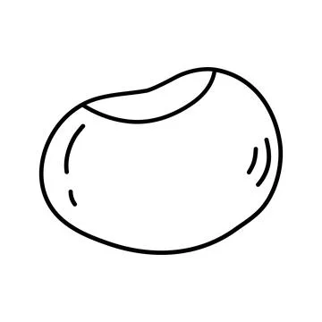 Chestnut without shell, autumn design element, doodle style flat vector outline Illustrazione stock