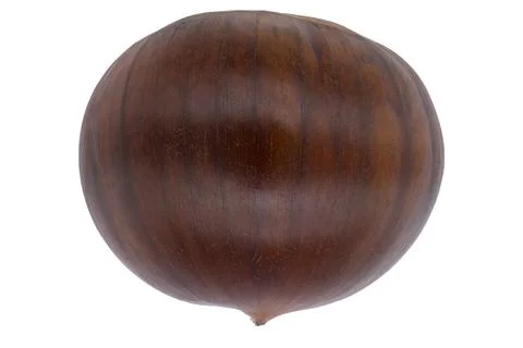 Chestnut2 Stock Photos