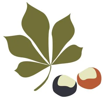 Chestnuts and Green leaf. Set Vector Illustration isolated on a white backg.. Stock Illustration
