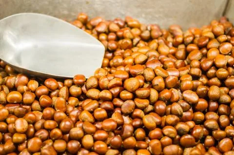 Chestnuts and ladle. Stock Photos