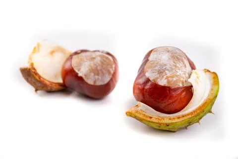 Chestnuts and shells on a white table. Ripe chestnut fruit. Stock Photos