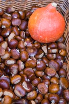 Chestnuts and squash Stock Photos