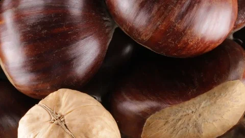 Chestnuts and walnuts Stock Footage 95703970