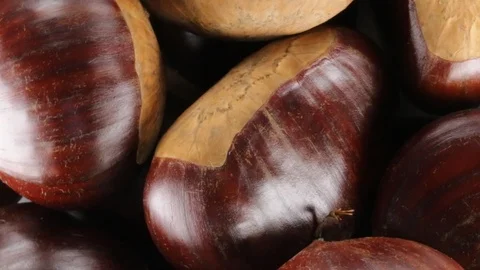 Chestnuts and walnuts Stock Footage 95703972