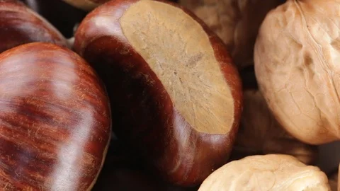 Chestnuts and walnuts Stock Footage 95703976