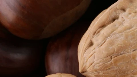 Chestnuts and walnuts Stock Footage 95703977