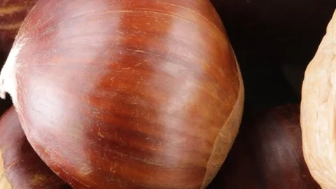Chestnuts and walnuts Stock Footage 95703979