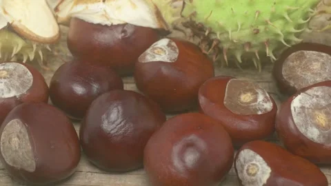 Chestnuts are beautifully arranged on a rustic wooden table, featuring their Vidéo 286040320