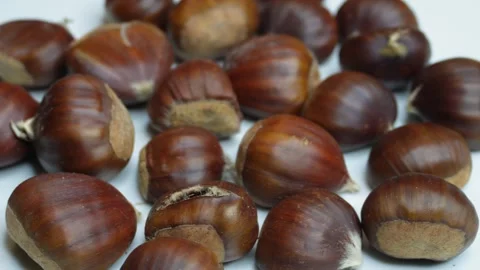 The chestnuts are rotating. Stock Footage 255616542