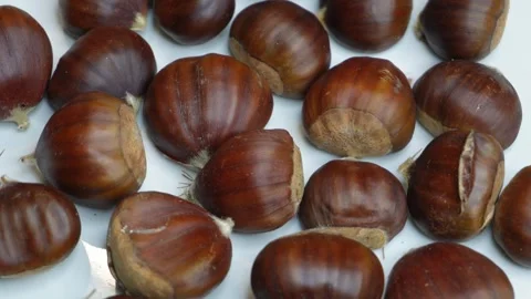 The chestnuts are rotating. Stock Footage 255616593