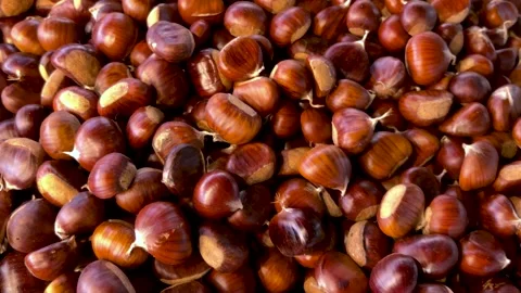 Chestnuts arranged as  backdrop Stock Footage 318856012