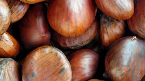 Chestnuts background tracking shot Stock Footage