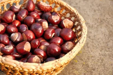Chestnuts in the basket Stock Photos