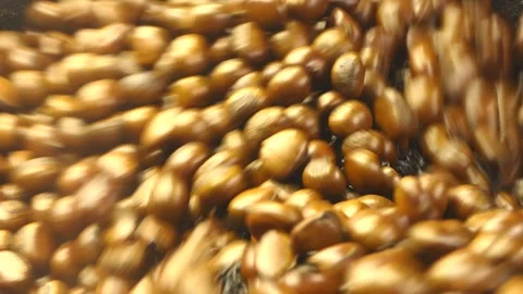 Chestnuts being churned and roasted in vat with hot black pebbles Video stock 297929893