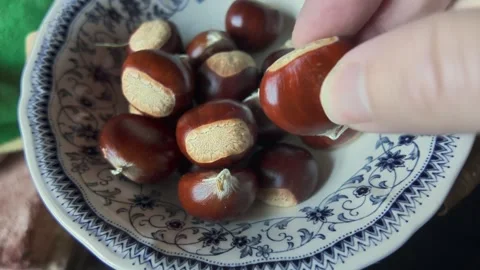 Chestnuts in bowl macro Stock Footage 347934429