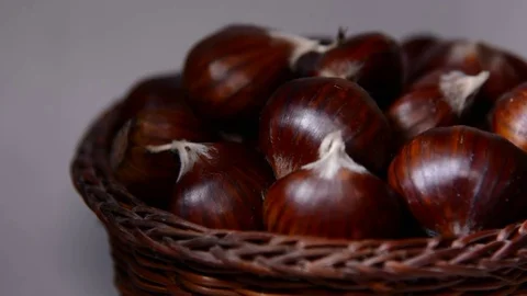 Chestnuts, close up Stock Footage 81357915