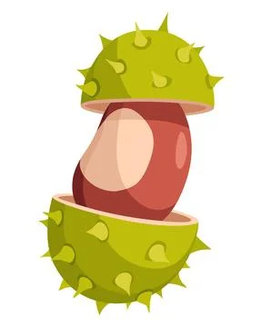 Chestnuts cracked shell with prickles. Vector illustration. Design element for 스톡 일러스트