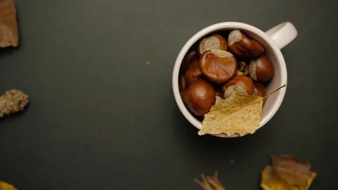 Chestnuts In Cups Vídeos de archivo 169874040