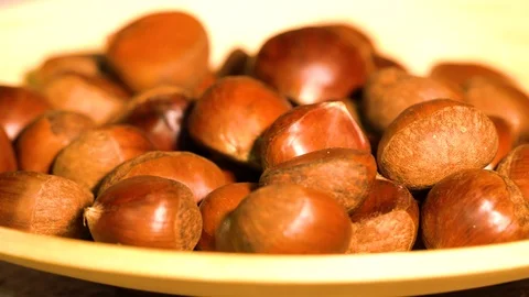 Chestnuts detail close up Stock Footage 101964323
