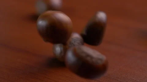 Chestnuts falling in slow motion close-up Stock Footage 134915956