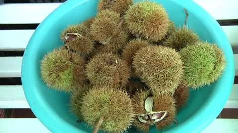 Chestnuts Stock Footage 10720903