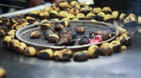 Chestnuts Stock Footage 10766879