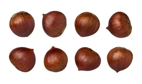 Chestnuts isolated with clipping path Stock Photos