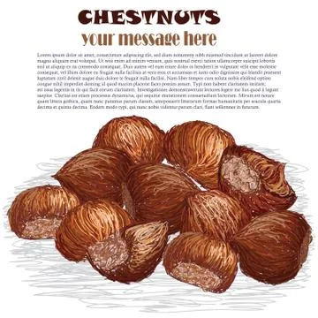 Chestnuts isolated Stock Illustration