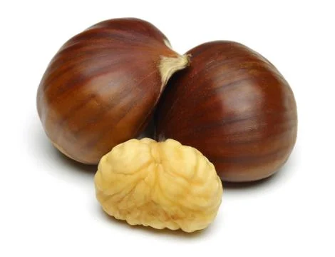 Chestnuts isolated on white background Stock Photos