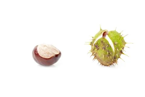 Chestnuts isolated on white background. Stock Photos